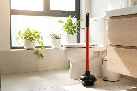 Can You Put Drano in a Toilet? Safe Alternatives