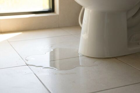 Water Leaking Around Toilet Base? Here's Why